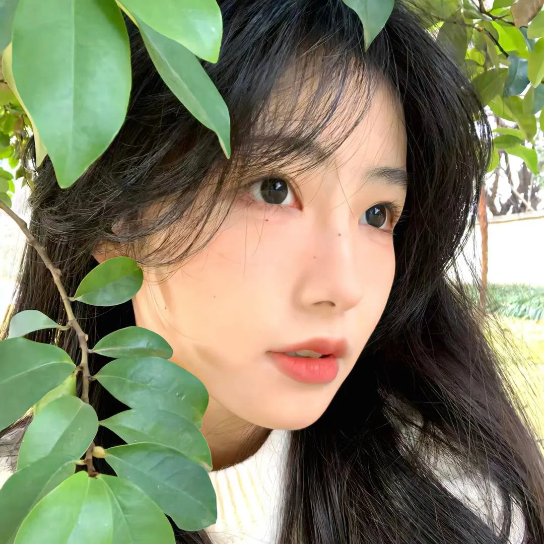 花花子弟